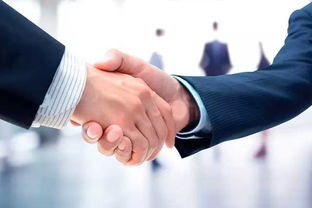 免費廣告服務(wù)，誠心回饋莎粉支持